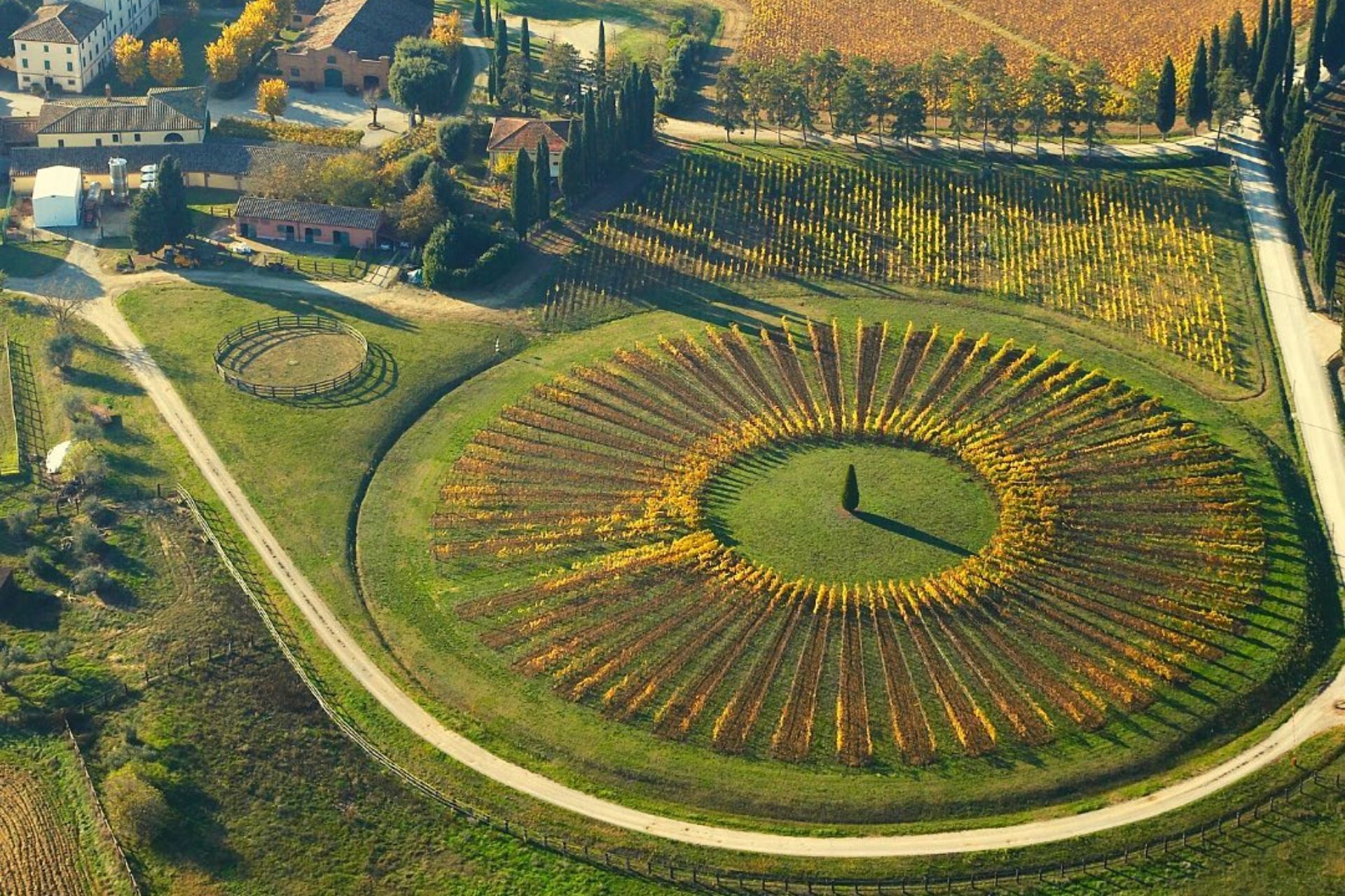 Wine tour in Toscana nelle aziende selezionate da Wine Spectator