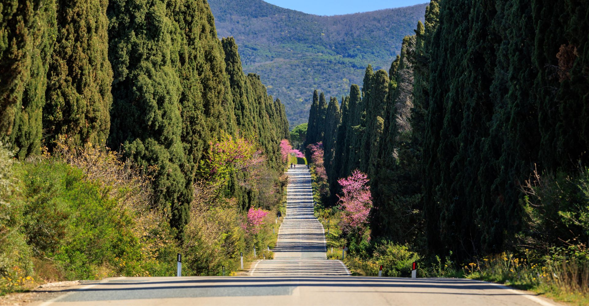 Seven days by bike between Castiglione della Pescaia and Castagneto Carducci
