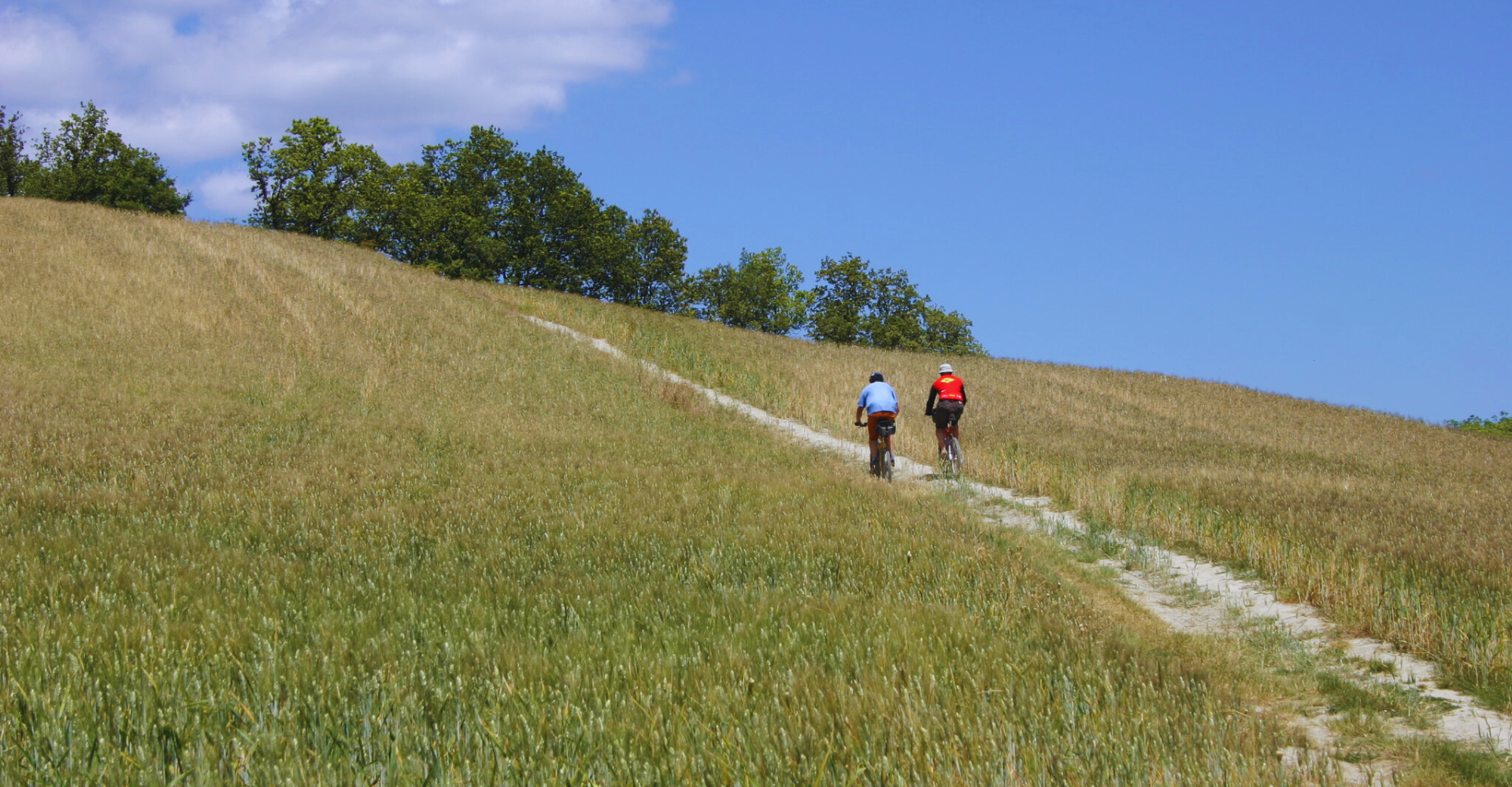 Five days by bike in Val d'Orcia