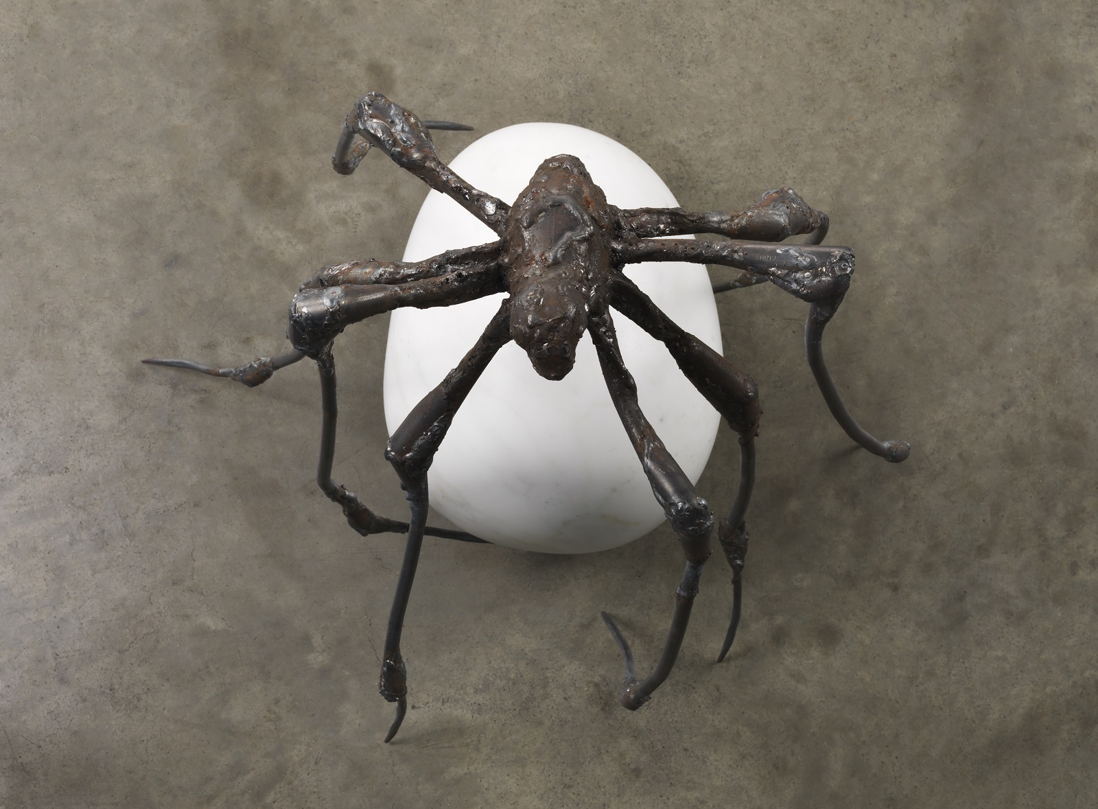 Spider di Louise Bourgeois