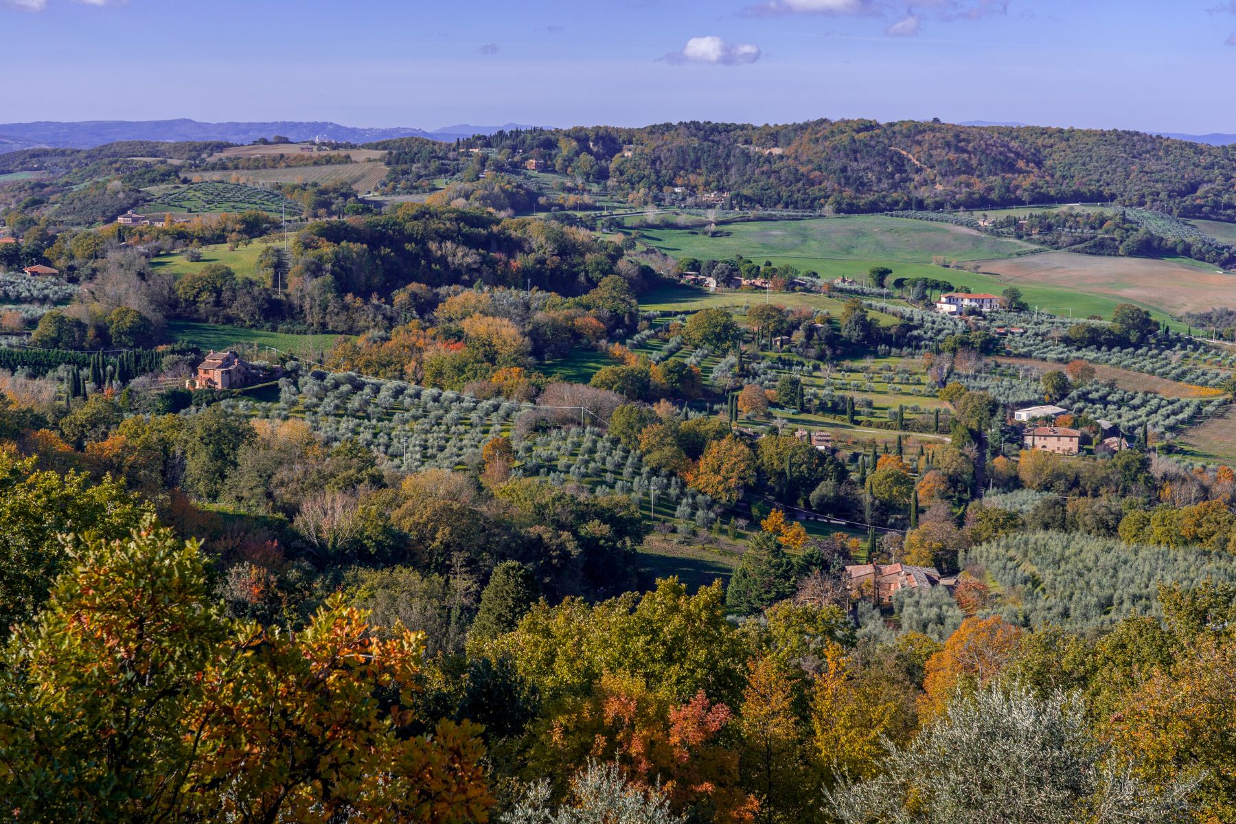 The Montepulciano countryside
