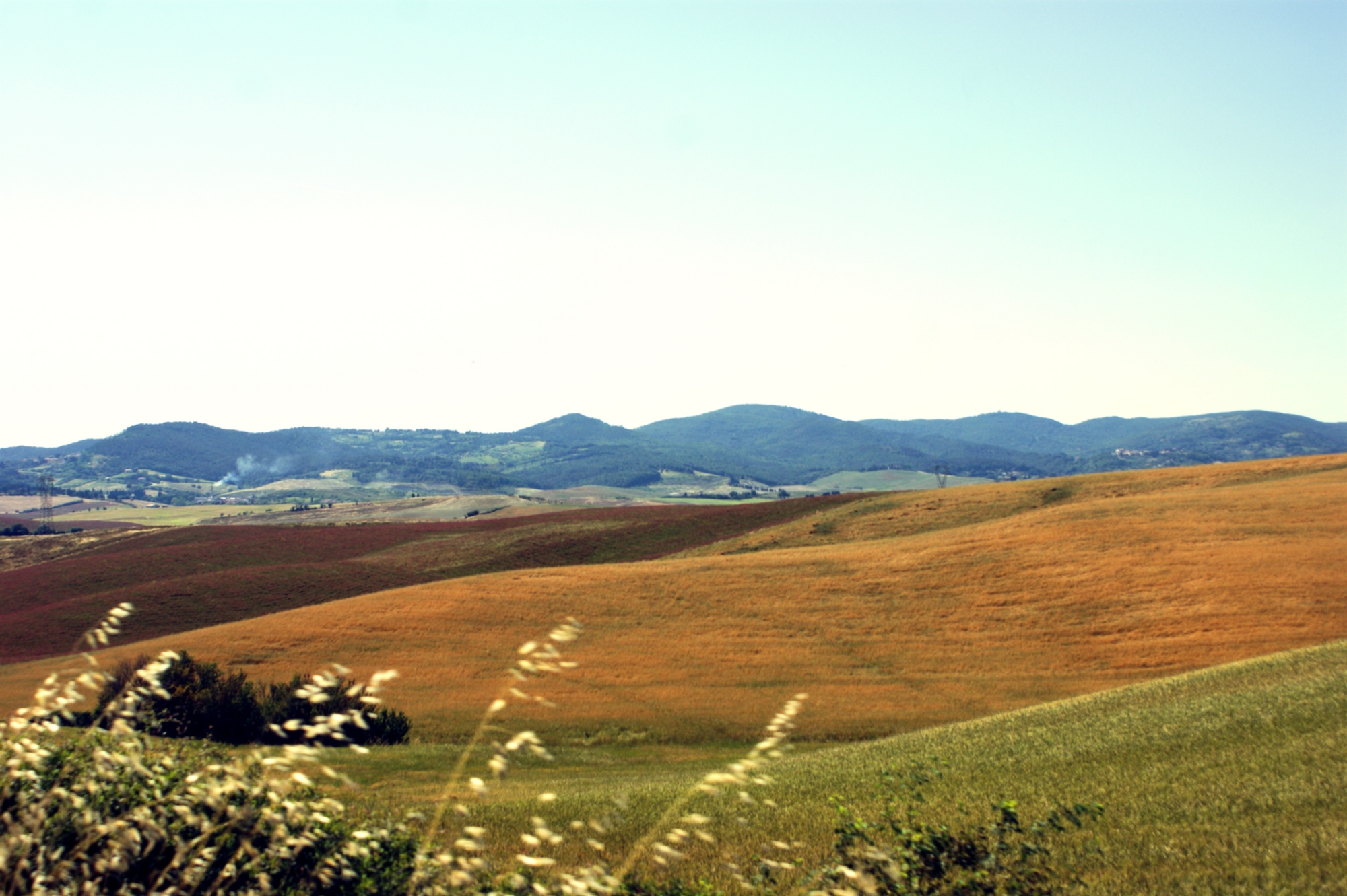 The colors of Maremma
