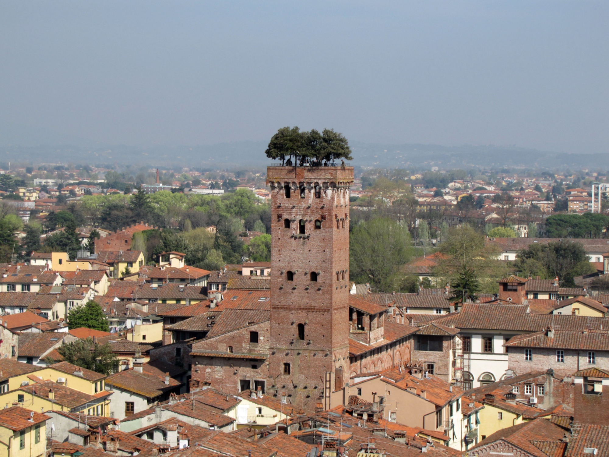 Torre Guinigi en Lucca