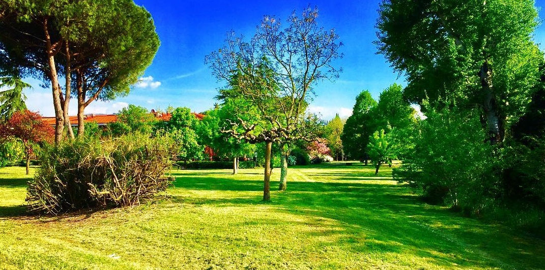 Anconella Park