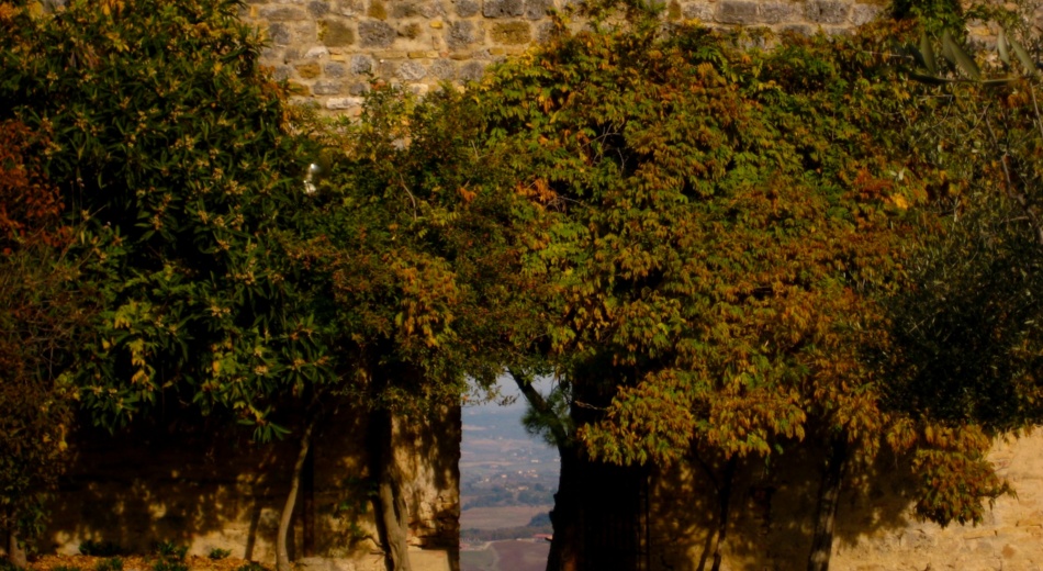 Le colline viste dalla porticina segreta a San Gimignano