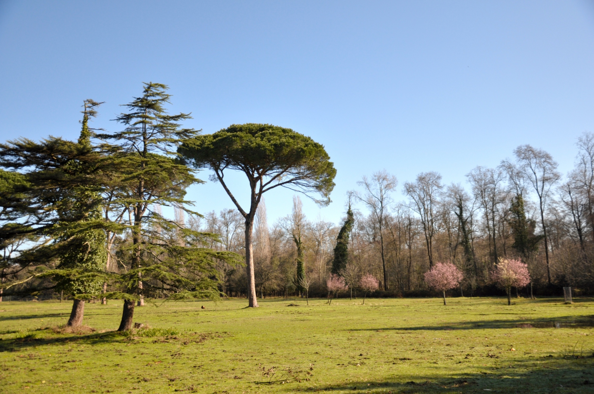 Naturpark San Rossore