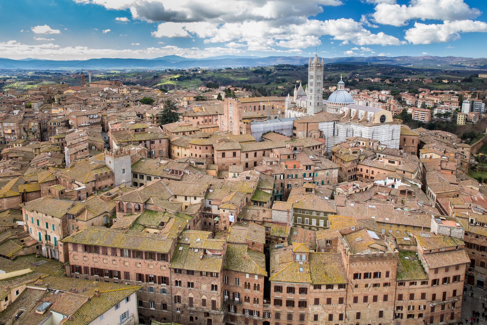 Siena and its Duomo from the Torre del Mangia