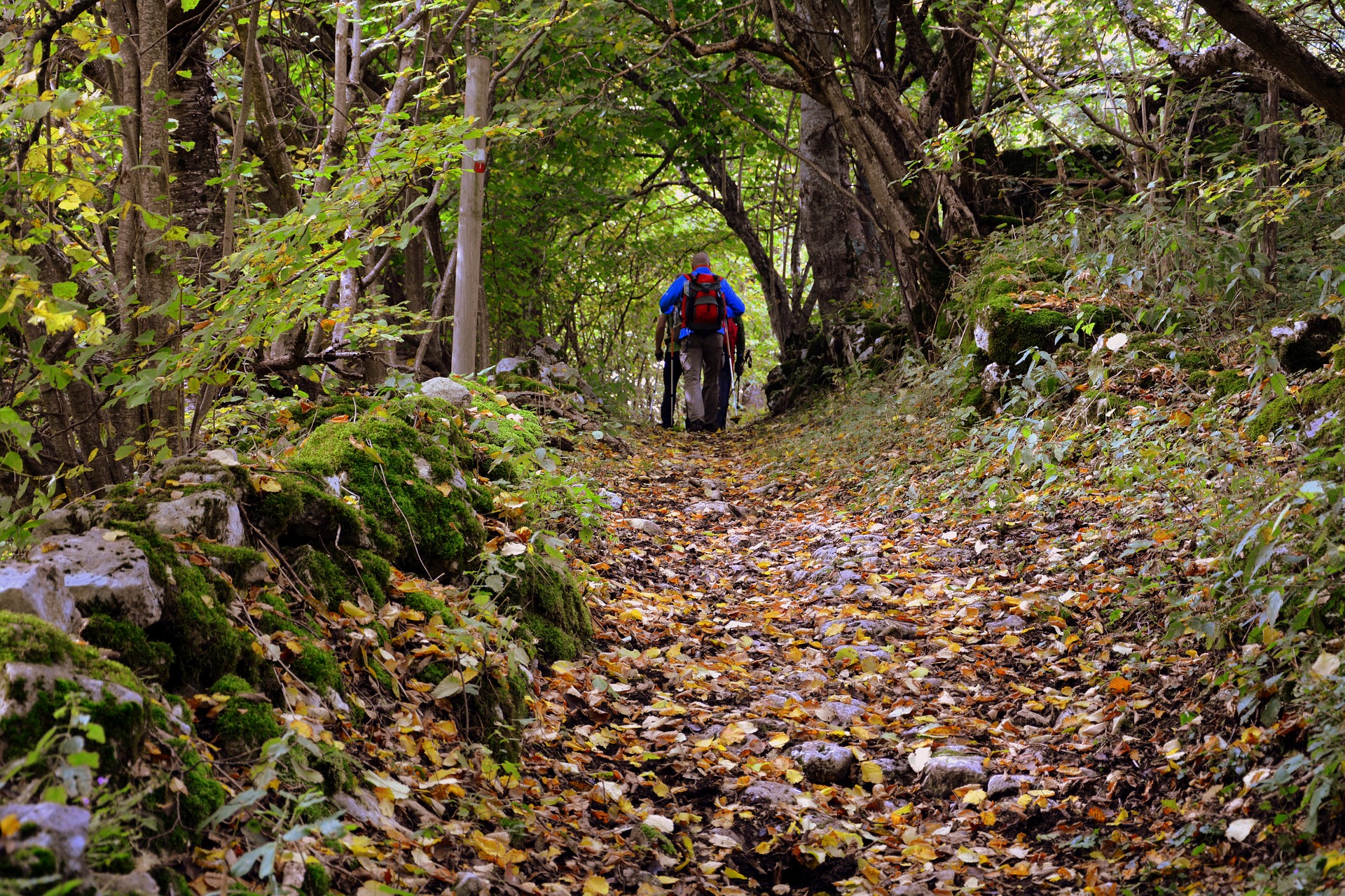 Trekking nella Costa degli Etruschi