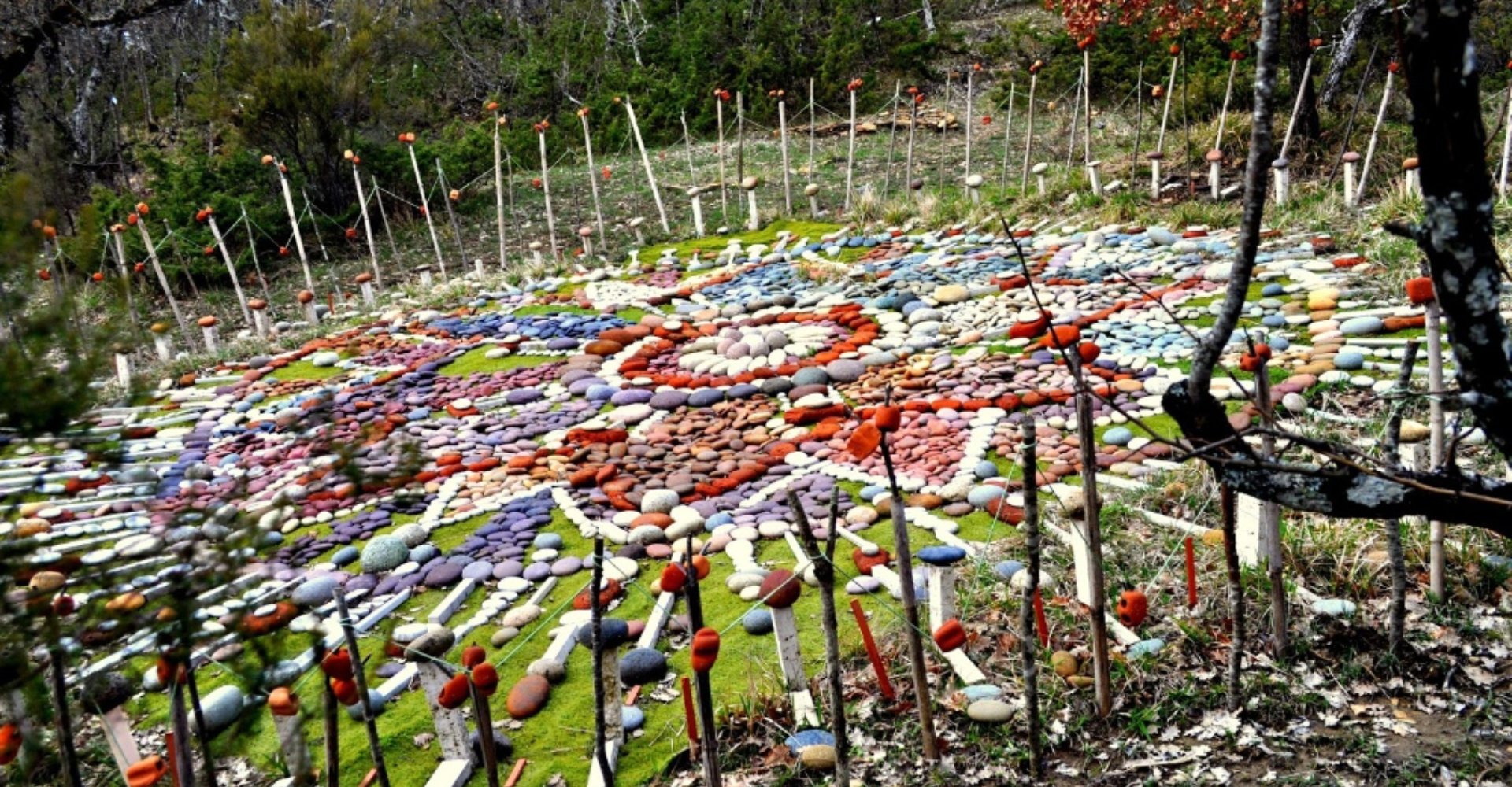 Selva de Ensueño