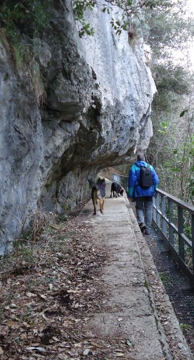 Grotta all'Onda, Casoli, Camaiore