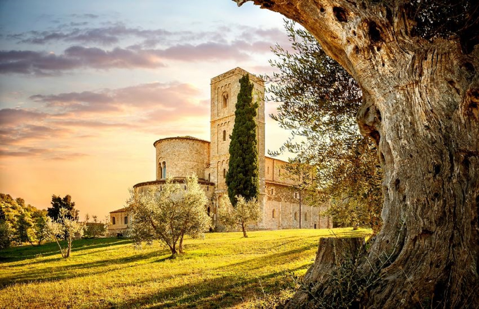 Degustazione di vino e visita della Val d'Orcia