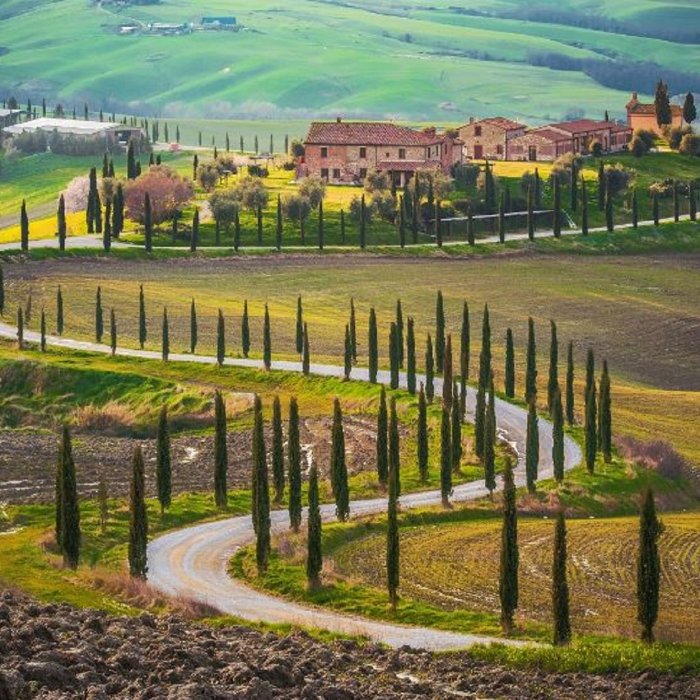 Degustazione di vino e visita della Val d'Orcia