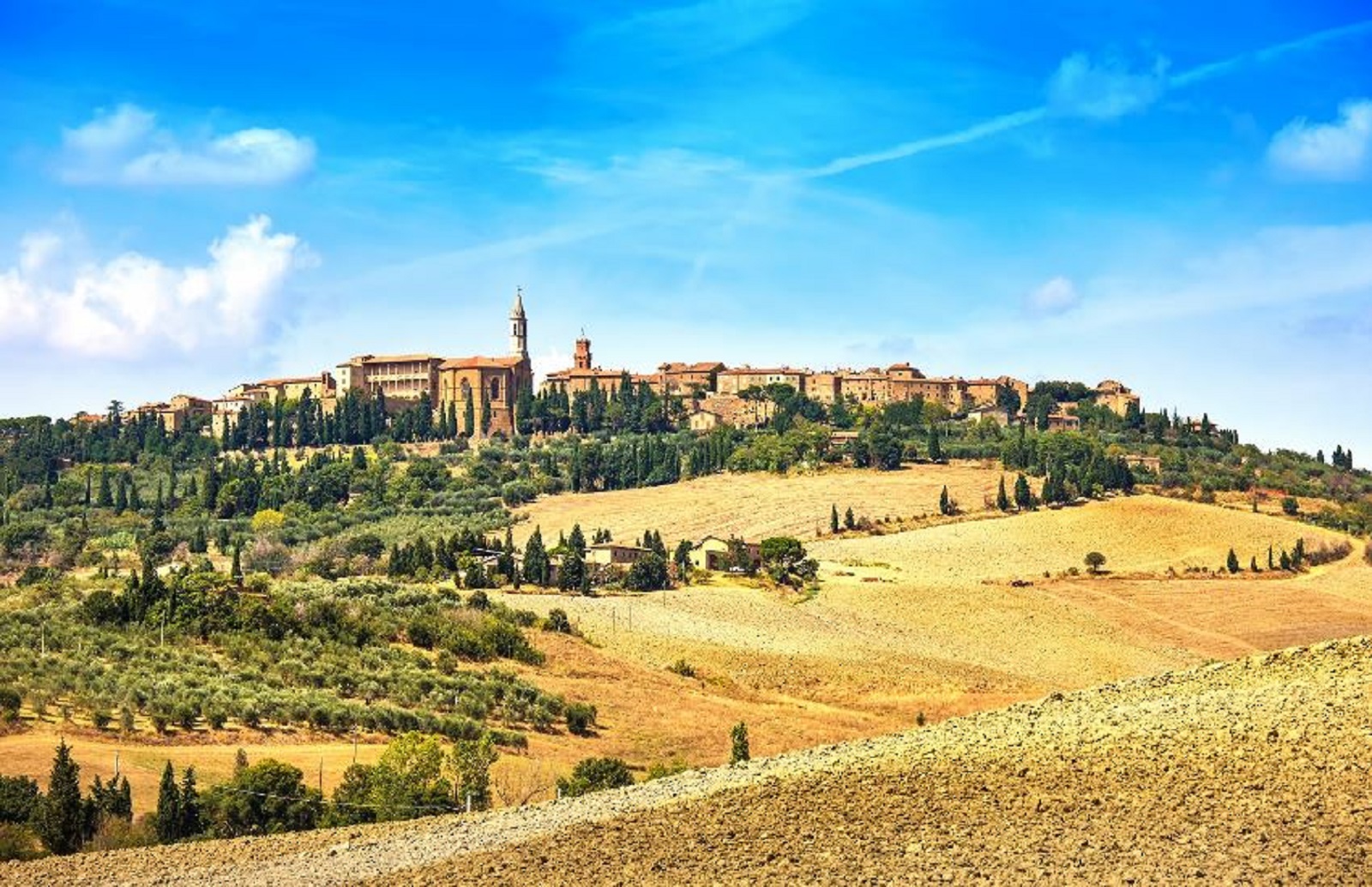 Cata de vinos y visita de la Val d'Orcia