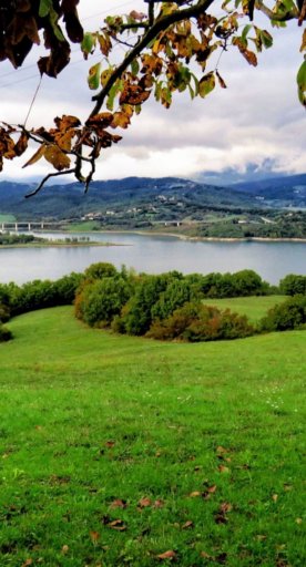 Le lac de Bilancino