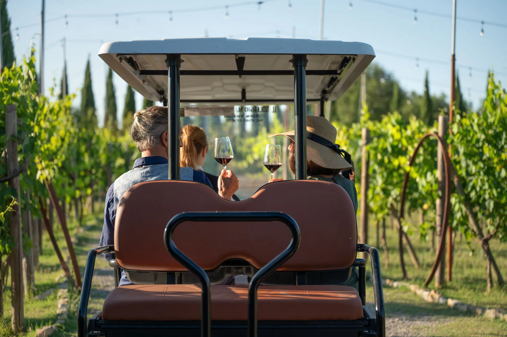 Golf cart experience tra vigna e lago