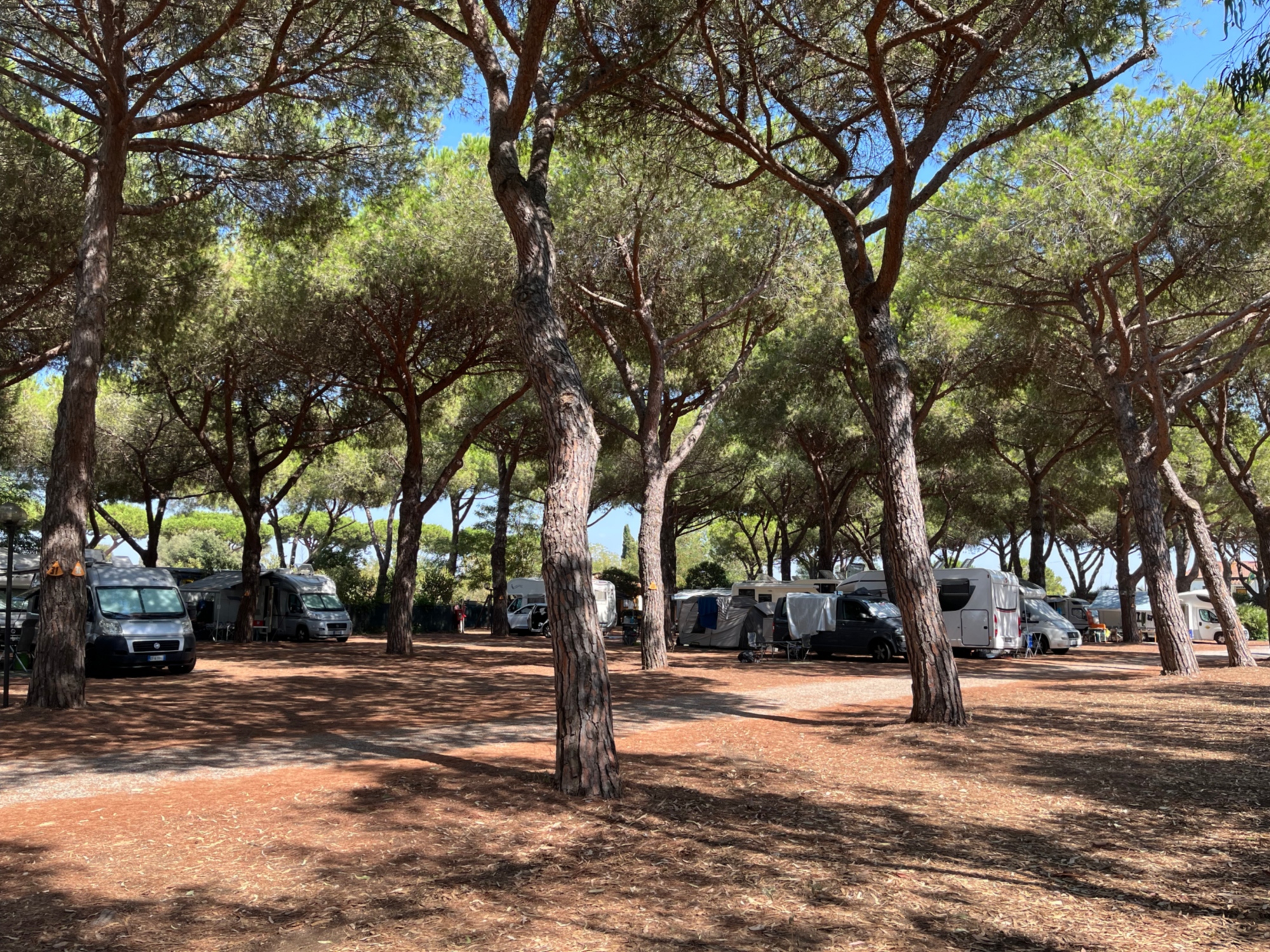 Area sosta in Maremma La Pampa 