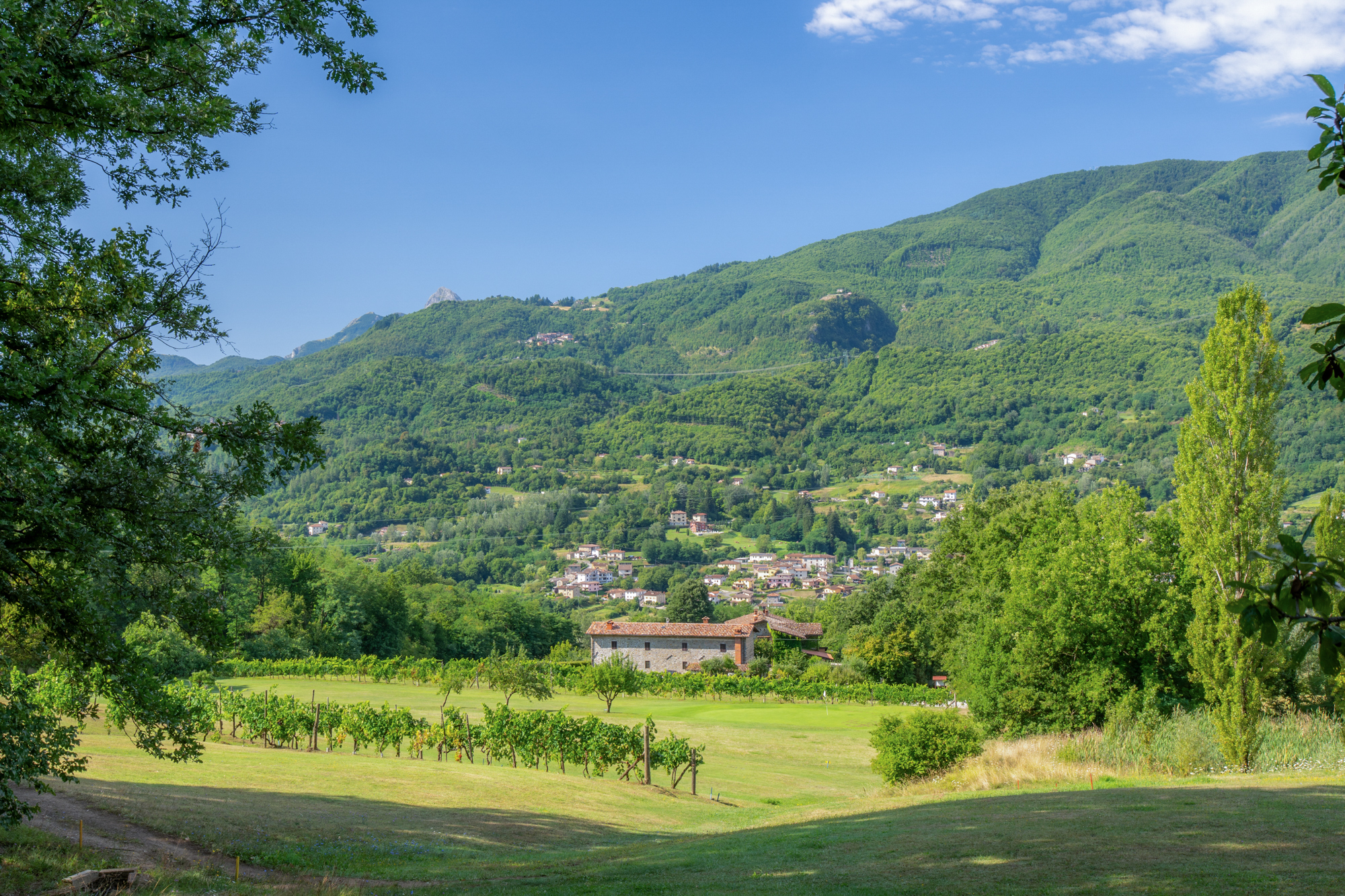Il podere Braccicorti