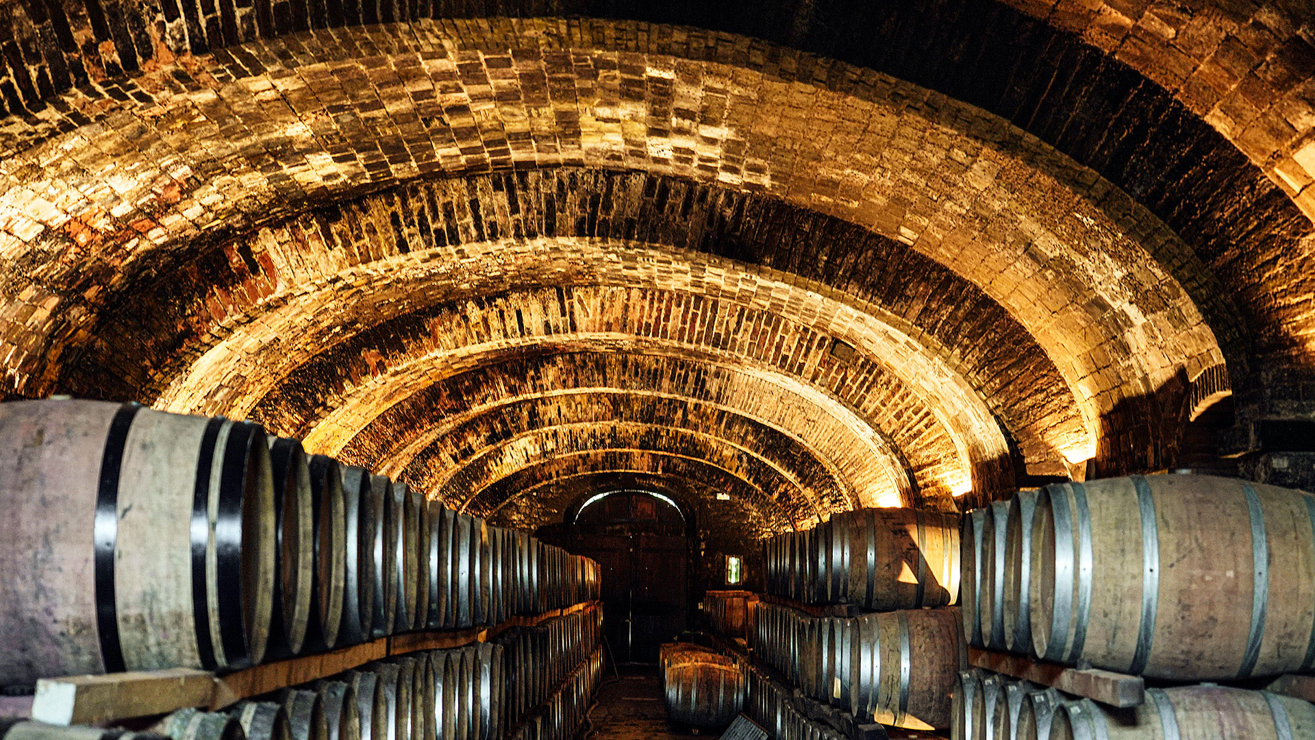 tuscany-florence-chianti-ferragamo-borro-winery-visit-wine-tasting-top-100