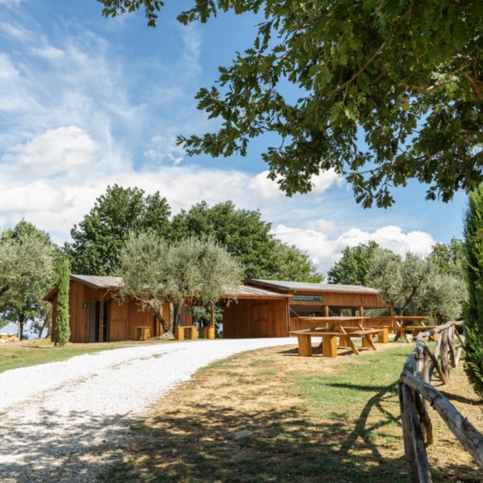 A relaxing and fun experience at Podere di Lorenzo a Lucignano