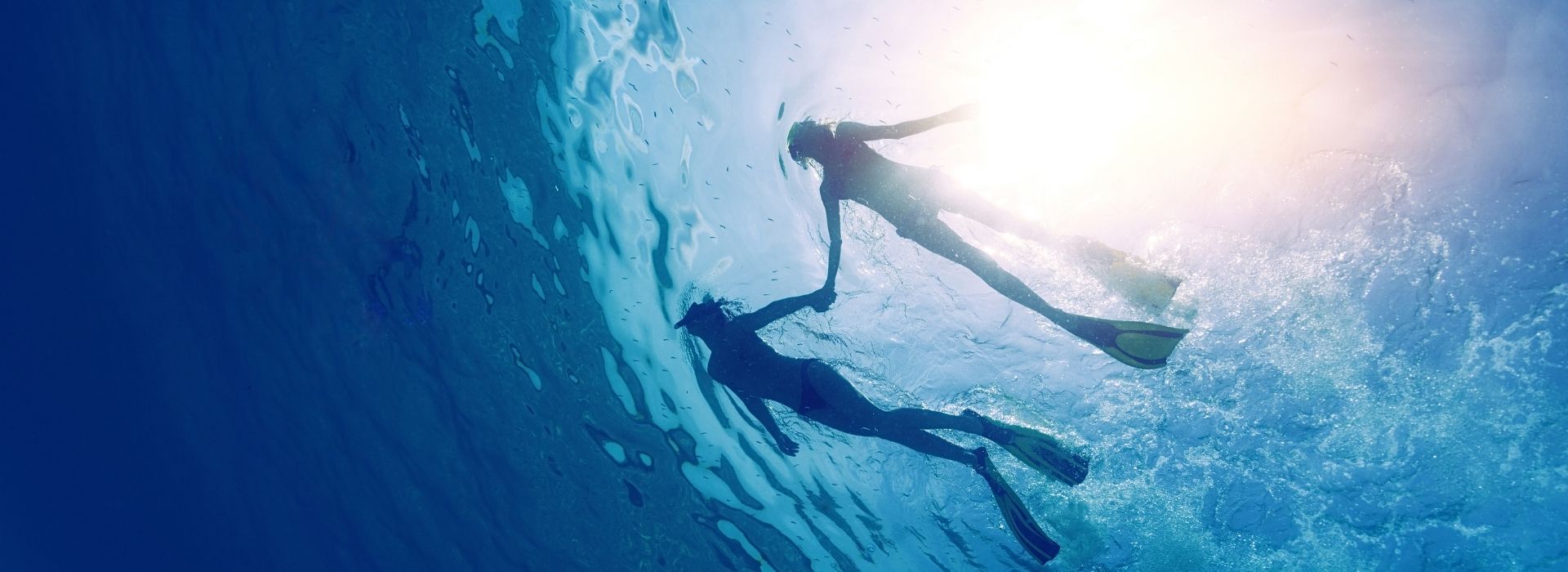 Two people snorkeling in the open sea, shot from below against the light as they swim on the surface with fins in the crystal-clear waters of the Gulf of Talamone