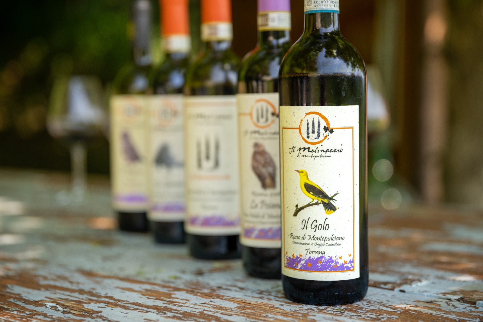 Wine tasting at Molinaccio di Montepulciano