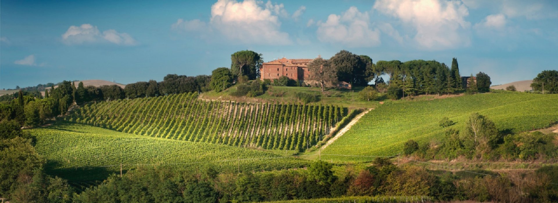 Visita guidata in cantina con degustazione del Brunello di Montalcino