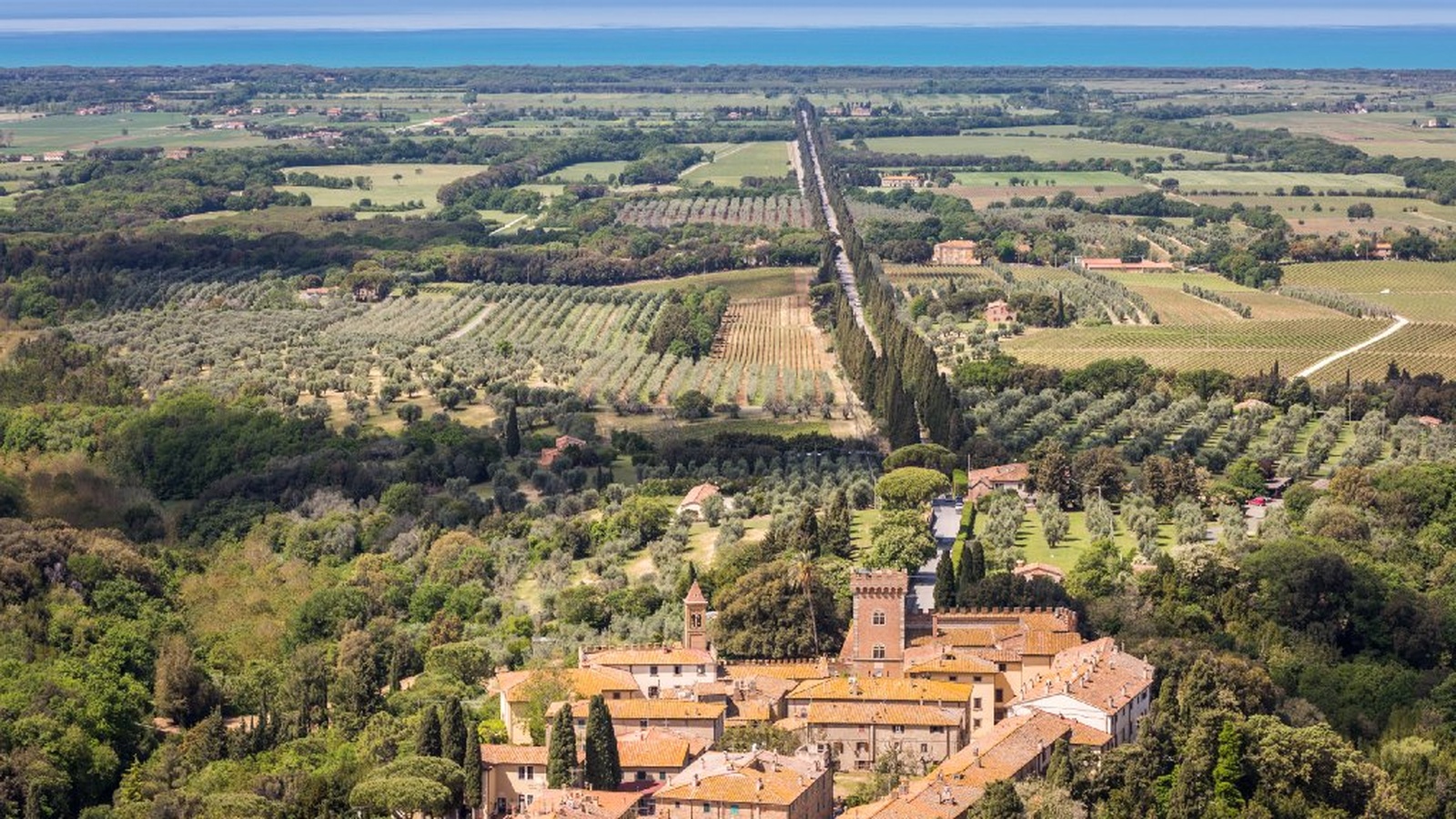 E-bike self-guided tour among Bibbona and Bolgheri