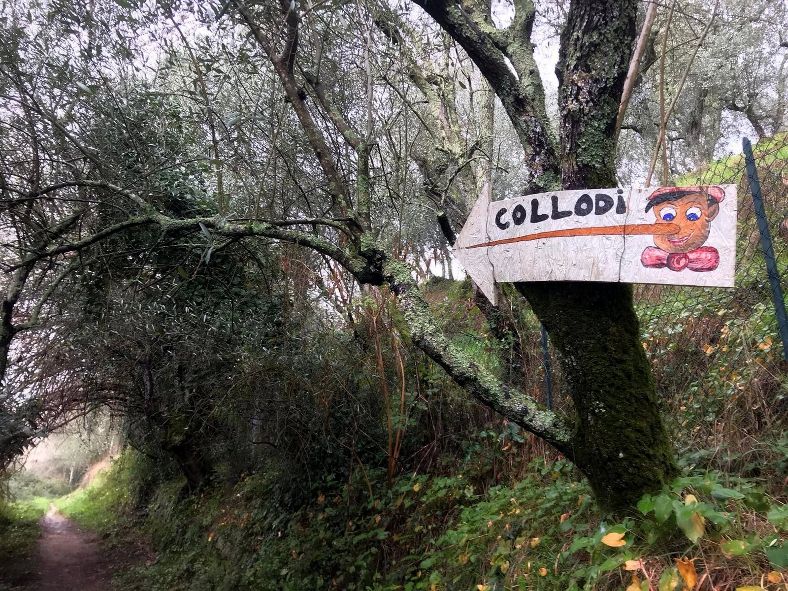 La Via della Fiaba, un percorso lastricato che tra ponti in pietra e ruscelli che ci condurrà a Collodi Alto