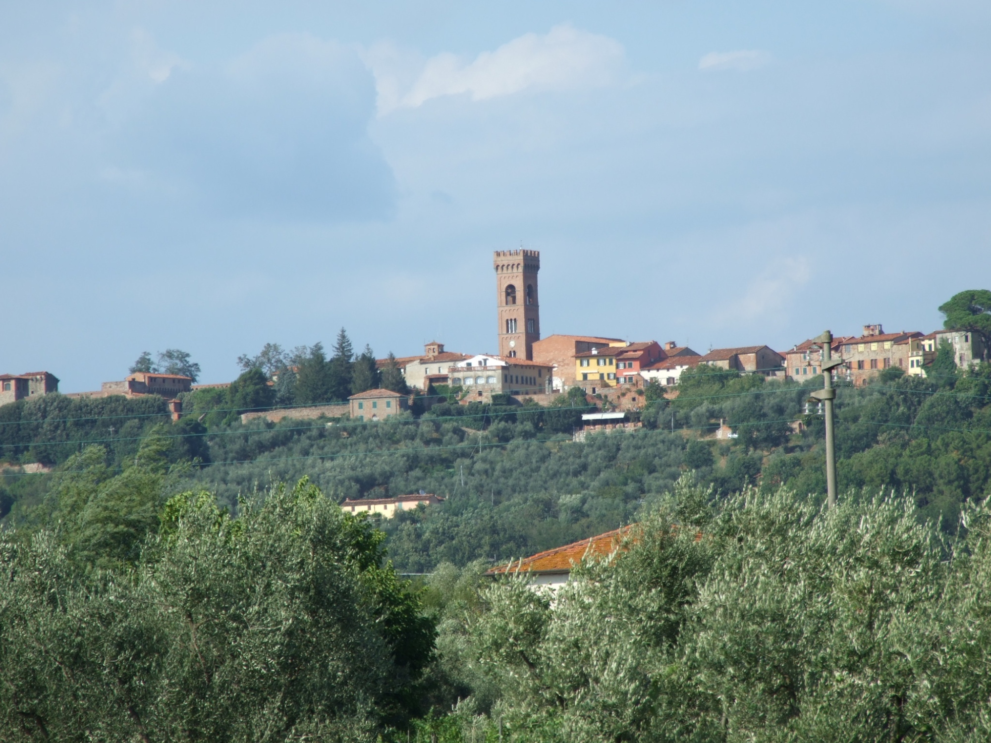 Tour in bici alla scoperta di Lucca e delle bellissime colline di Montecarlo