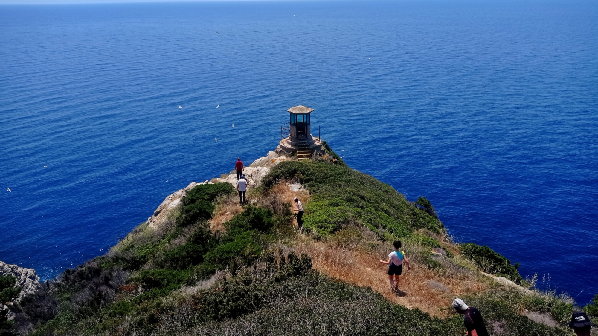 Tour dell'isola di Gorgona