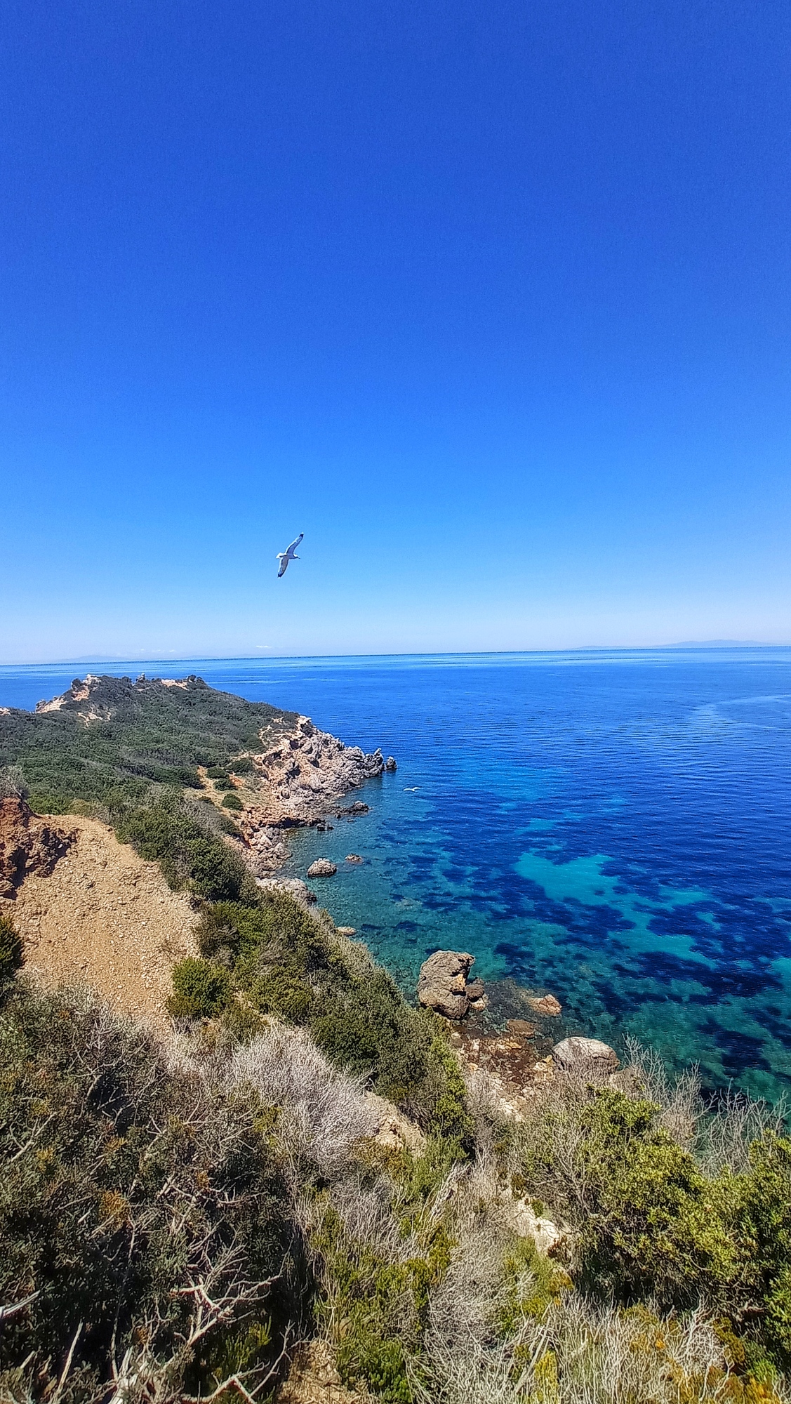Tre giorni a piedi sull'isola del Giglio, un vero paradiso per chi ama i viaggi a piedi nella natura