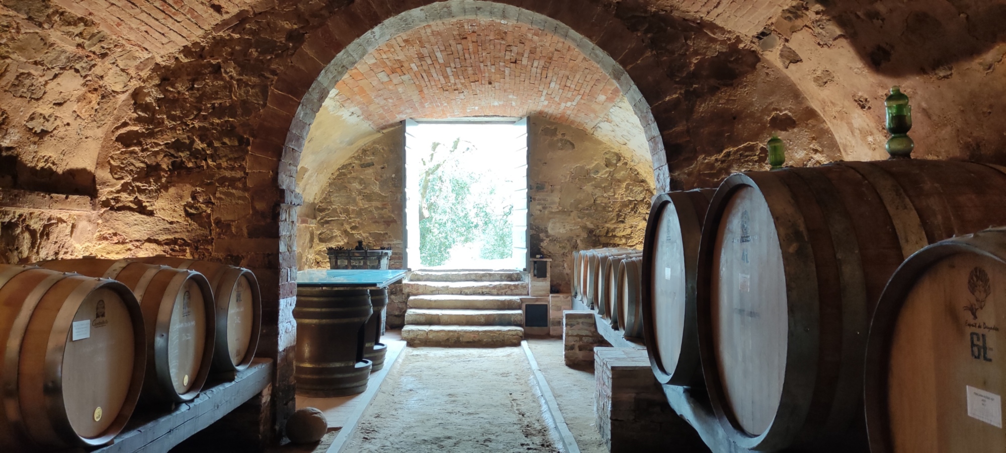 Visit and wine tasting in Lucignano, at the estate Il Sosso