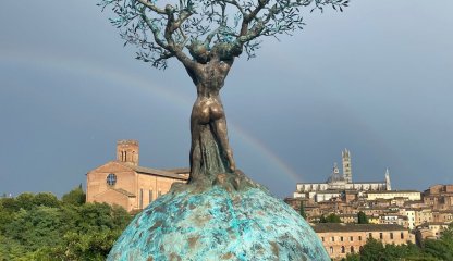 Visita guidata della città di Siena, dalla Basilica di San Domenico a Piazza del Campo