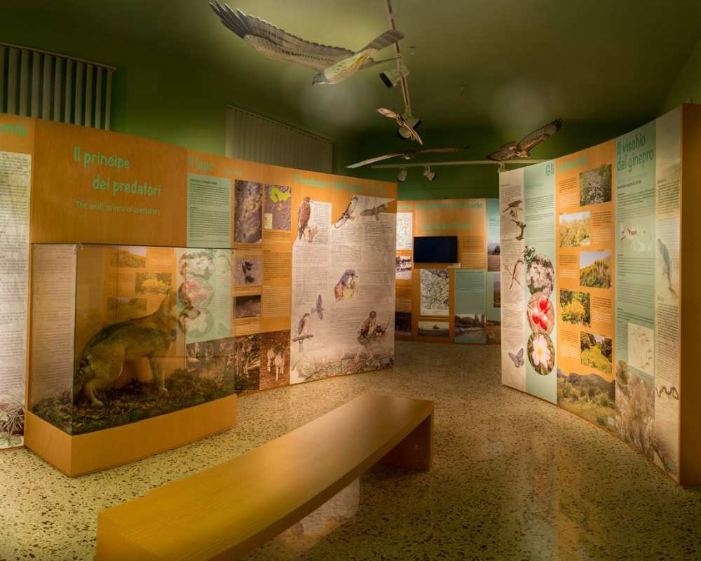 The main Visitor Centre room.