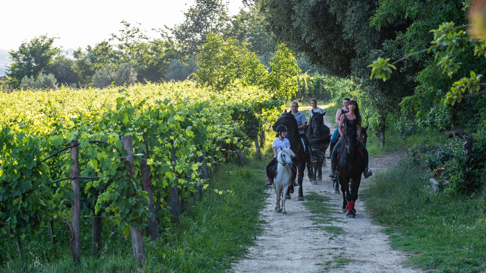 Un percorso ad anello alla scoperta dei sentieri e delle leggende della Valdichiana, territorio nel cuore della Toscana.