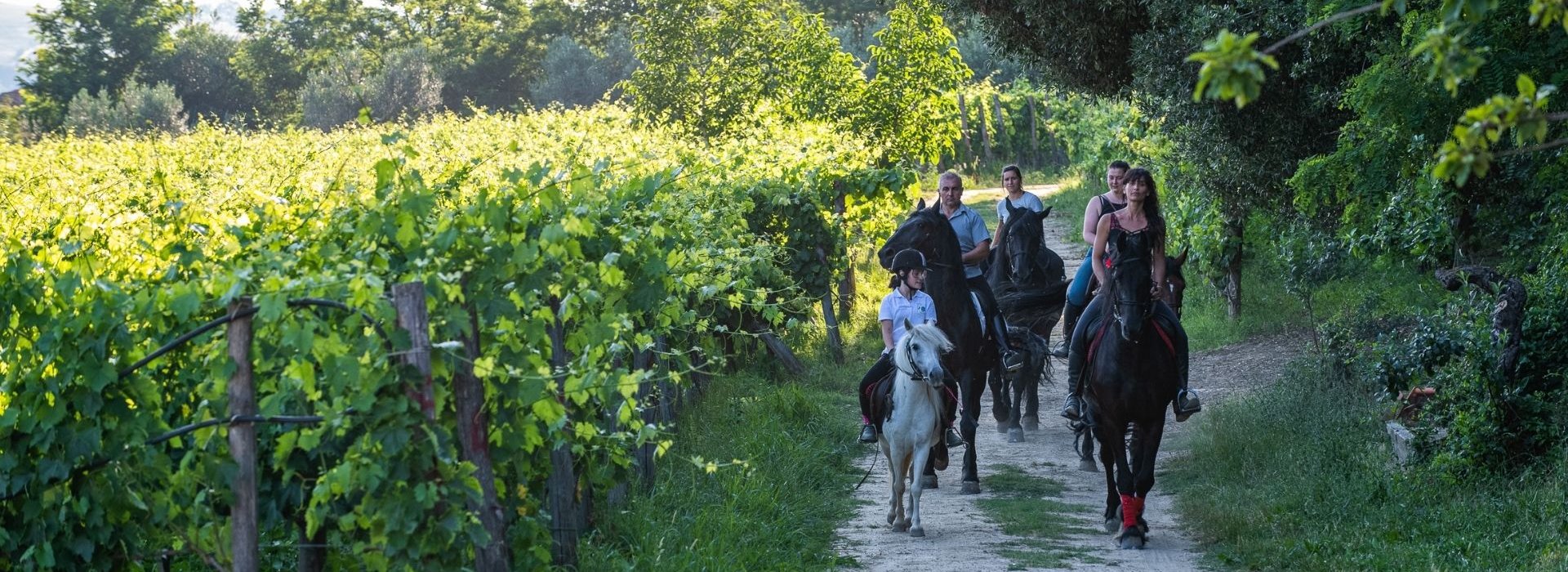 Un percorso ad anello alla scoperta dei sentieri e delle leggende della Valdichiana, territorio nel cuore della Toscana.