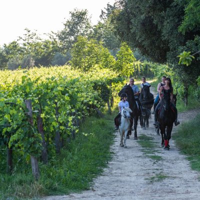 Un percorso ad anello alla scoperta dei sentieri e delle leggende della Valdichiana, territorio nel cuore della Toscana.