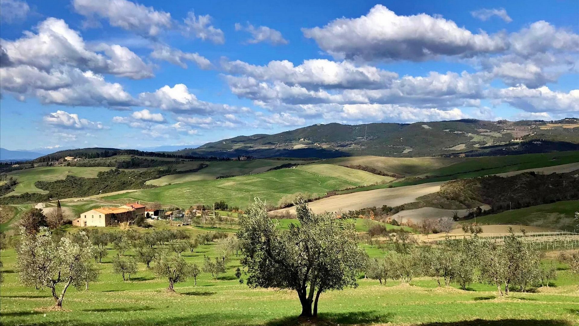 Guided trekking in the hills and countryside between Empoli and Montespertoli