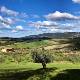Guided trekking in the hills and countryside between Empoli and Montespertoli