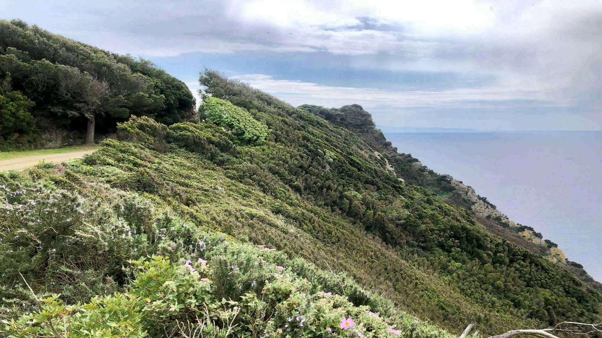 Excursion to the island of Gorgona, the most exclusive and protected island of the Tuscan Archipelago