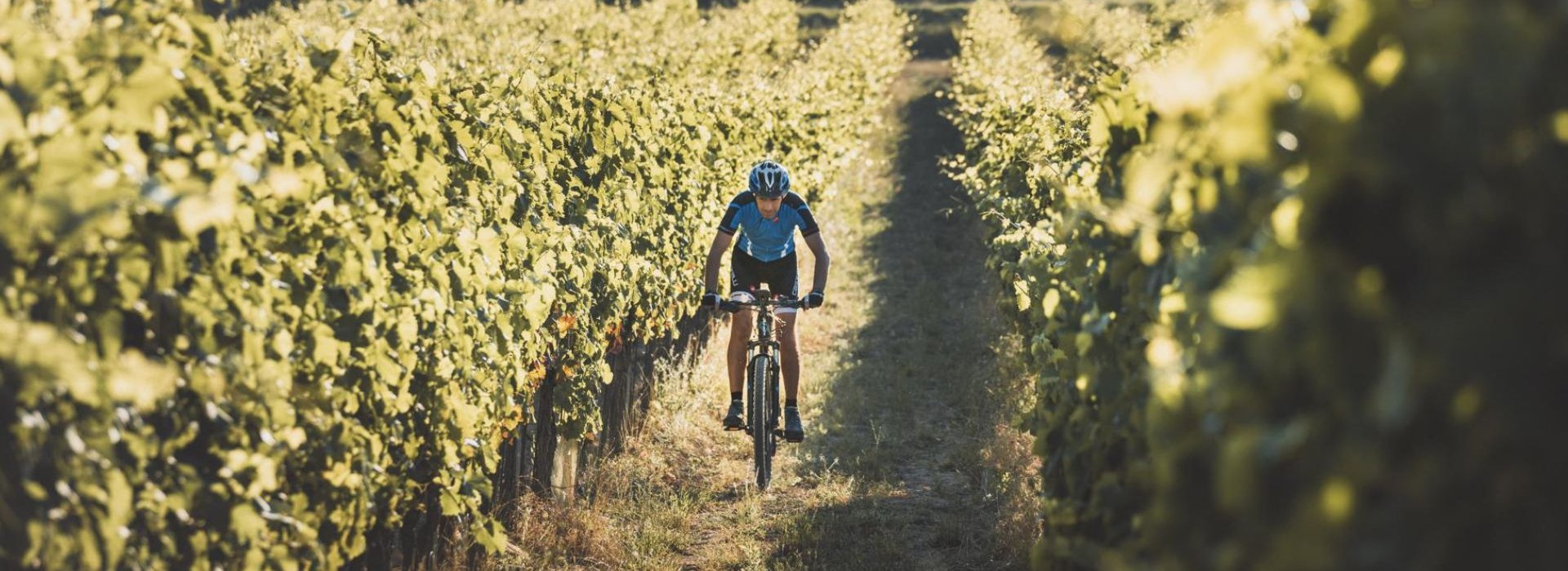 Un'esperienza che combina il tour in e-Bike con la visita e degustazione sulle colline di Montepulciano Un'esperienza che combina il tour in e-Bike con la visita e degustazione sulle colline di Montepulciano