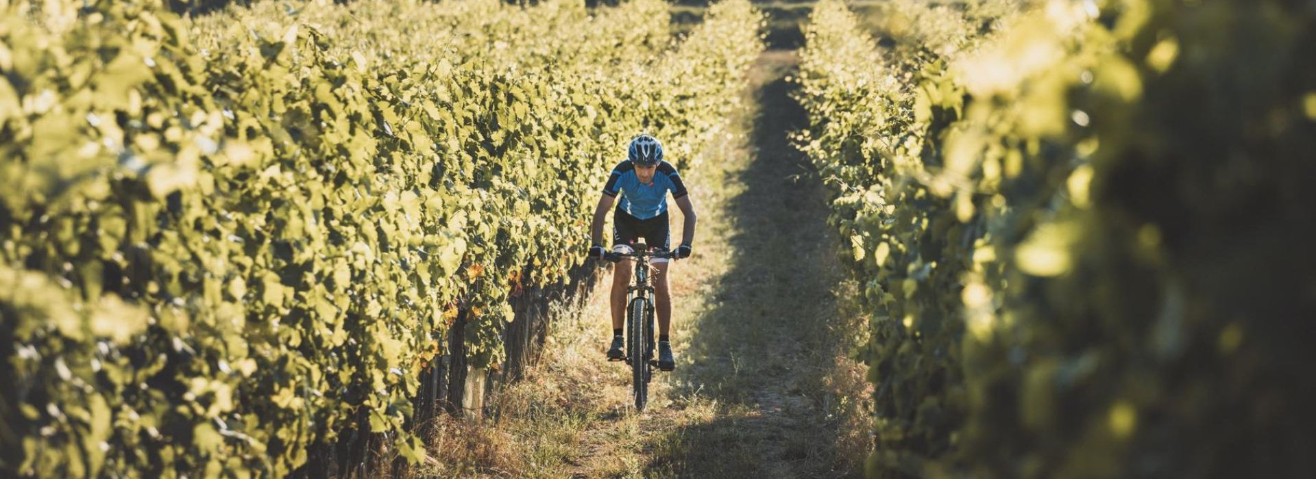 Un'esperienza che combina il tour in eBike con la visita e degustazione sulle colline di Montepulciano