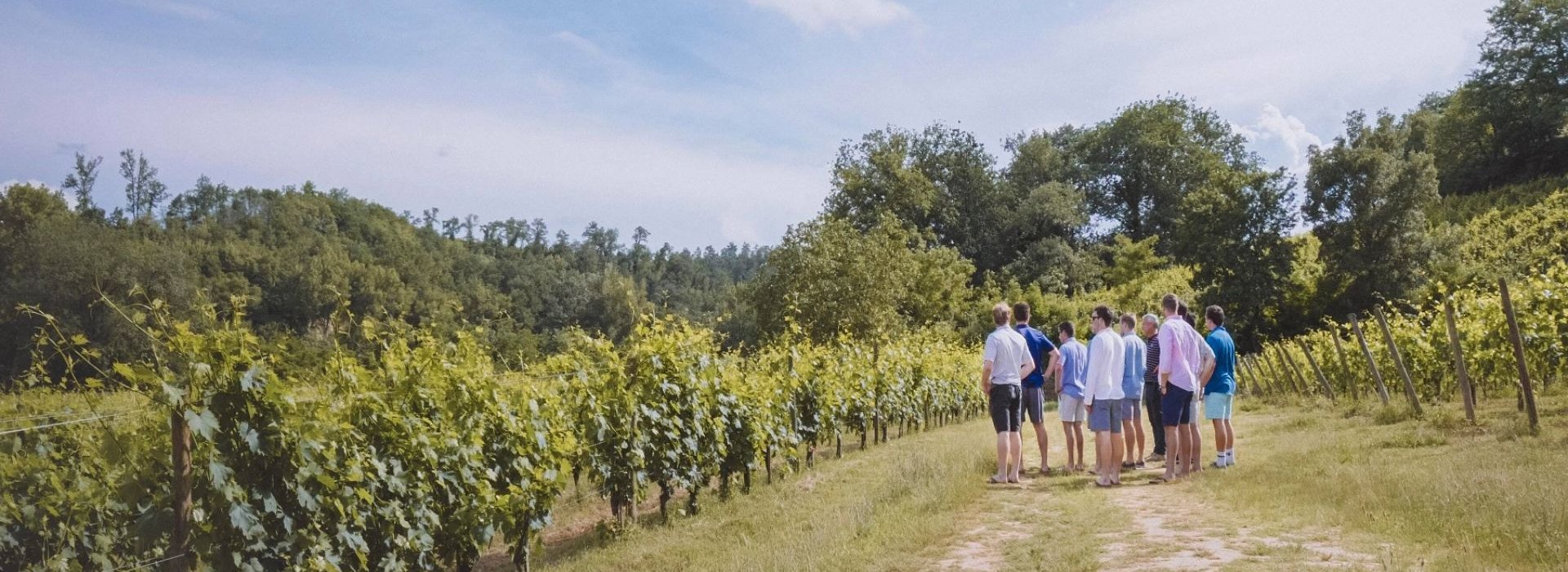 Un'esperienza unica per scoprire i segreti di vitigni e uve con degustazione sulle colline di Montepulciano