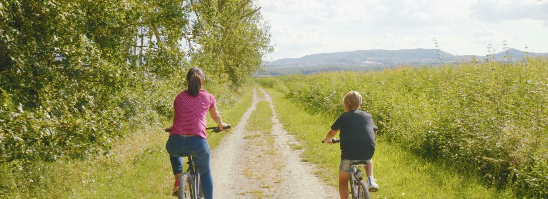 Percorsi guidati in bici o a piedi alla scoperta della Valdichiana