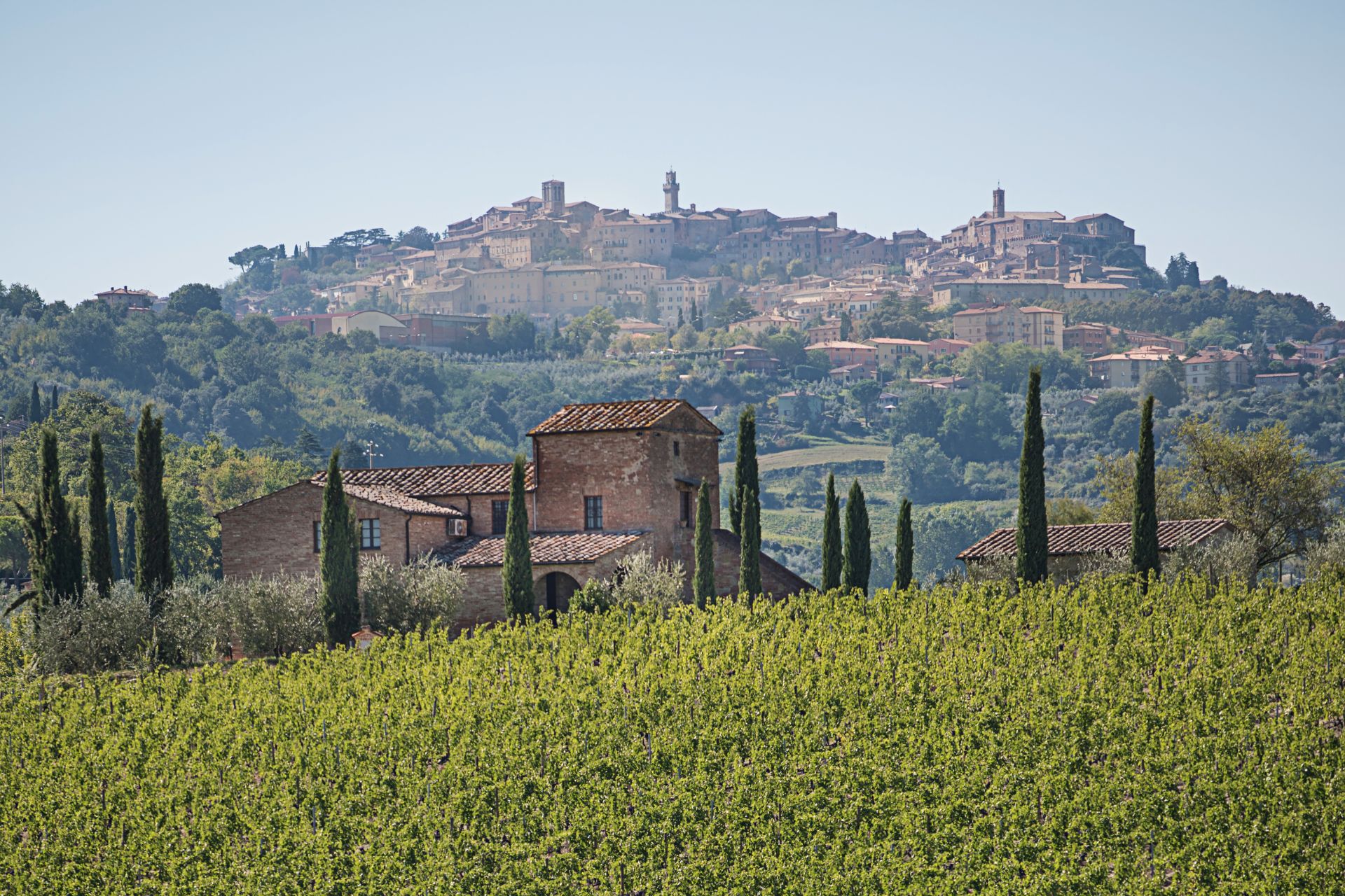 Due offerte di soggiorno a Montepulciano per amanti del Vino Nobile
