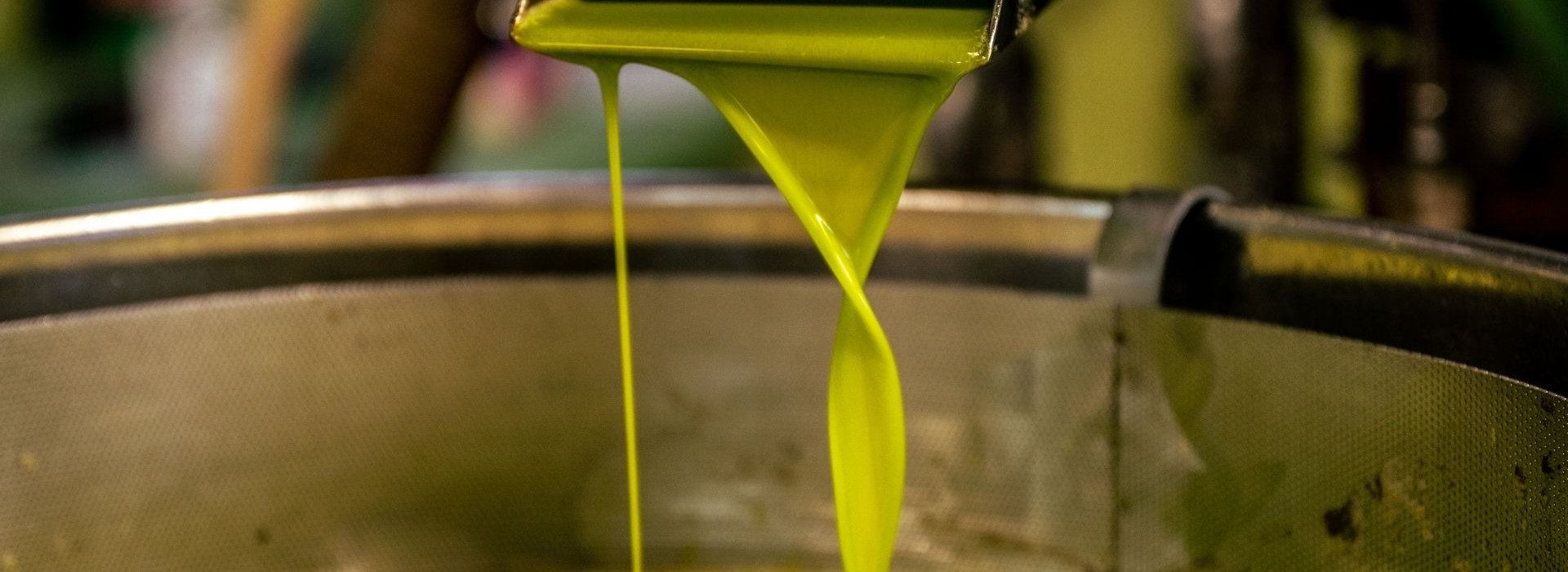 Educational Tour extra virgin olive oil Educational Tour extra virgin olive oil