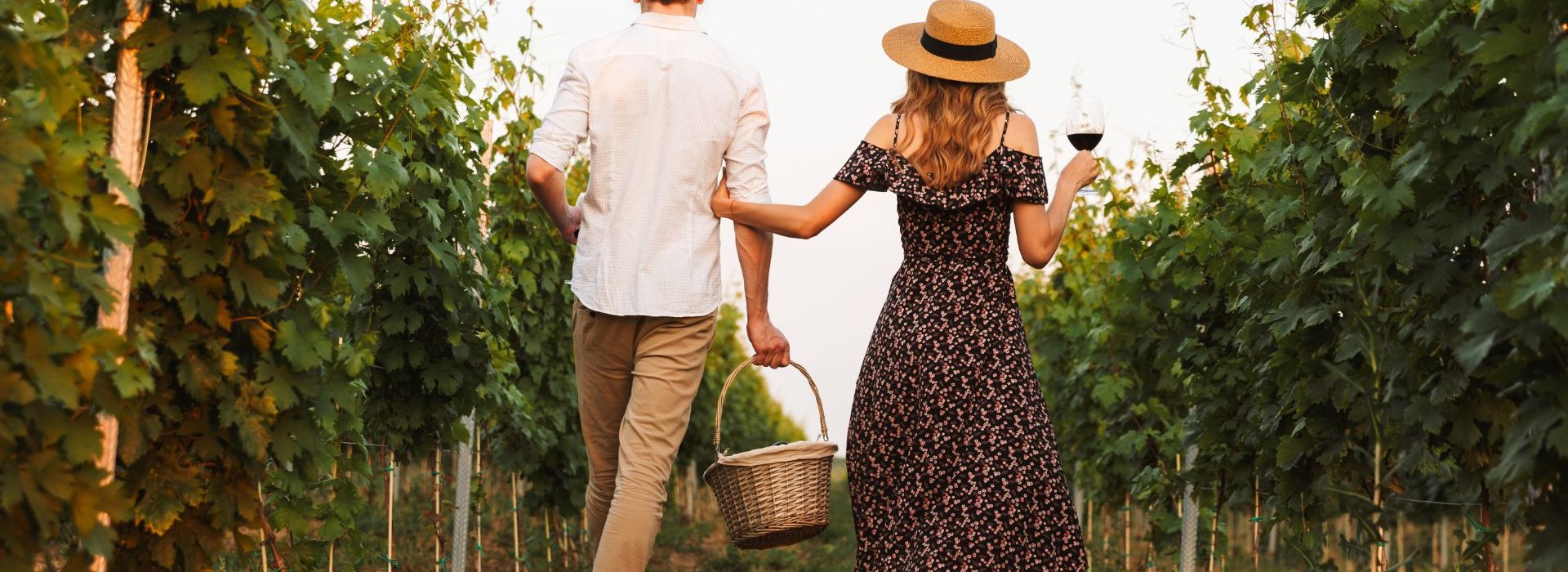 Tuscan picnic among the vineyards of Montepulciano