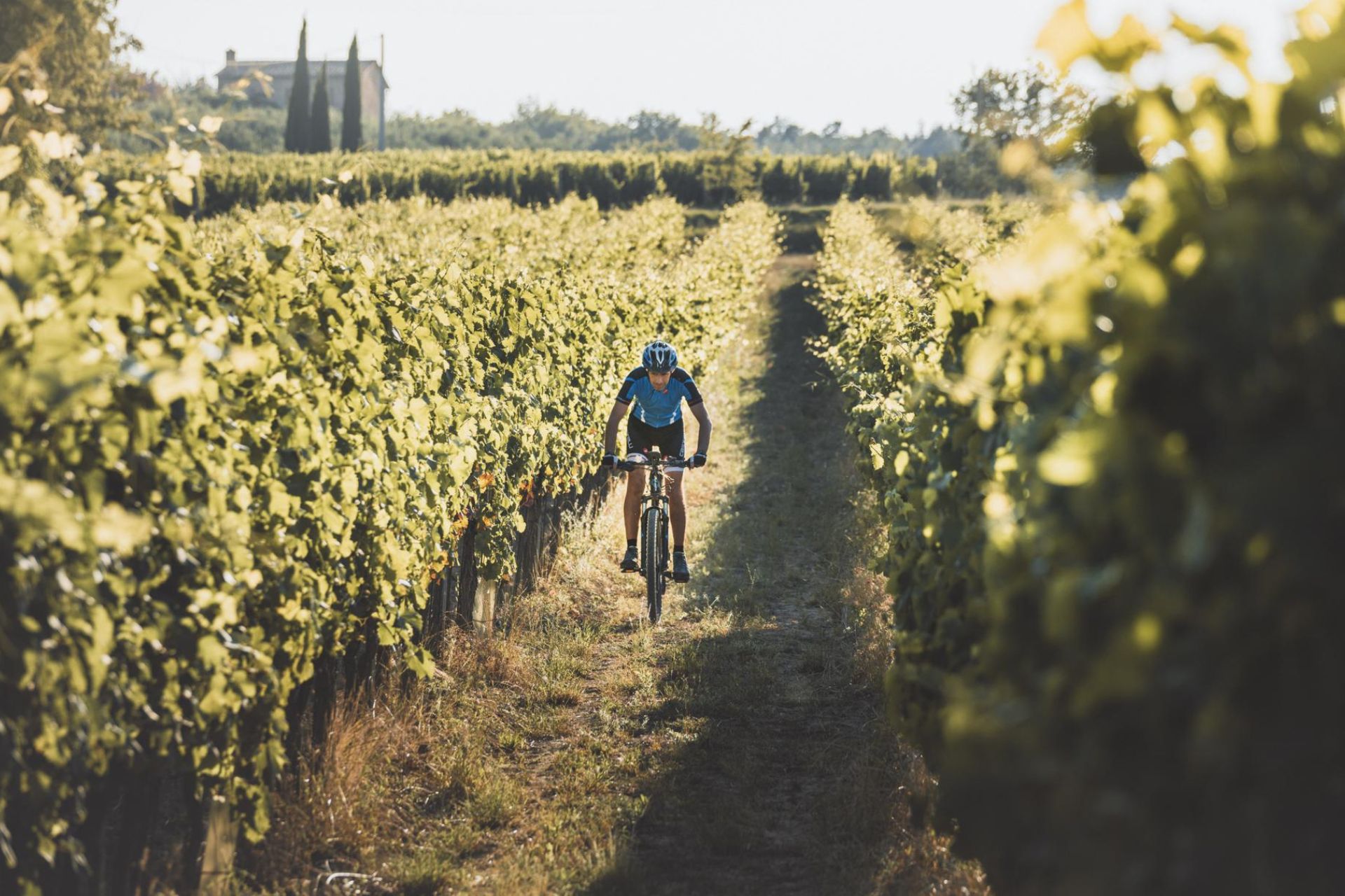 Vino Nobile di Montepulciano wine e-bike tour