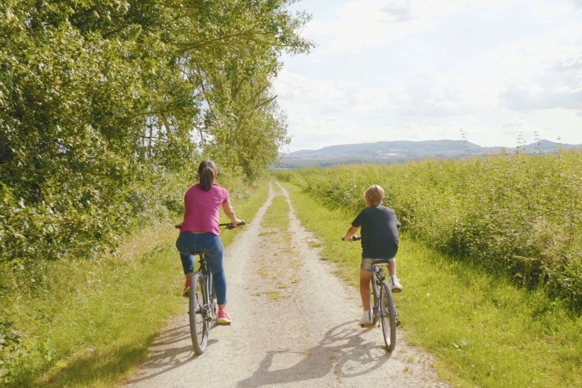 Percorsi guidati in bici o a piedi alla scoperta della Valdichiana