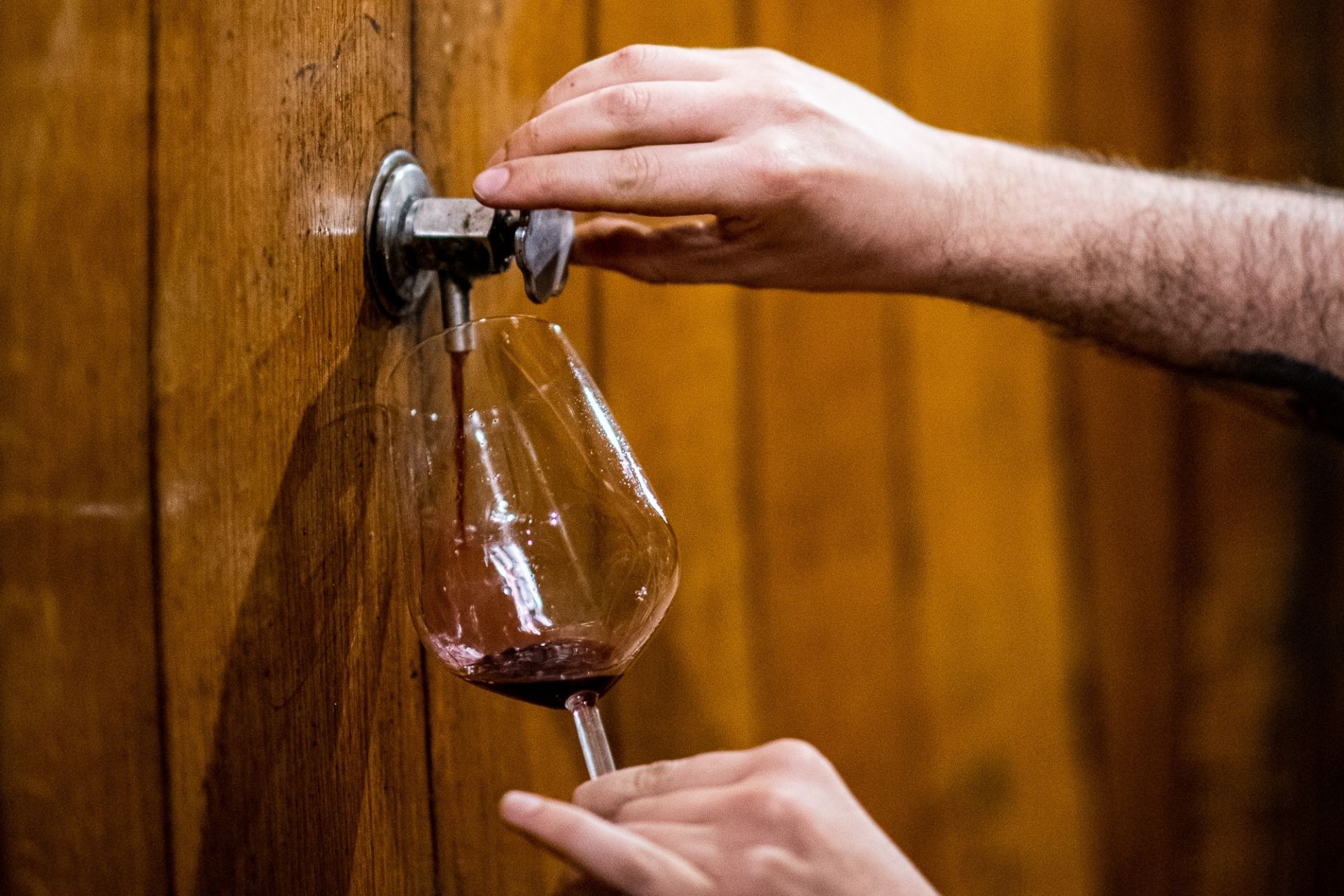 Wine Tour of the small producers in Montepulciano